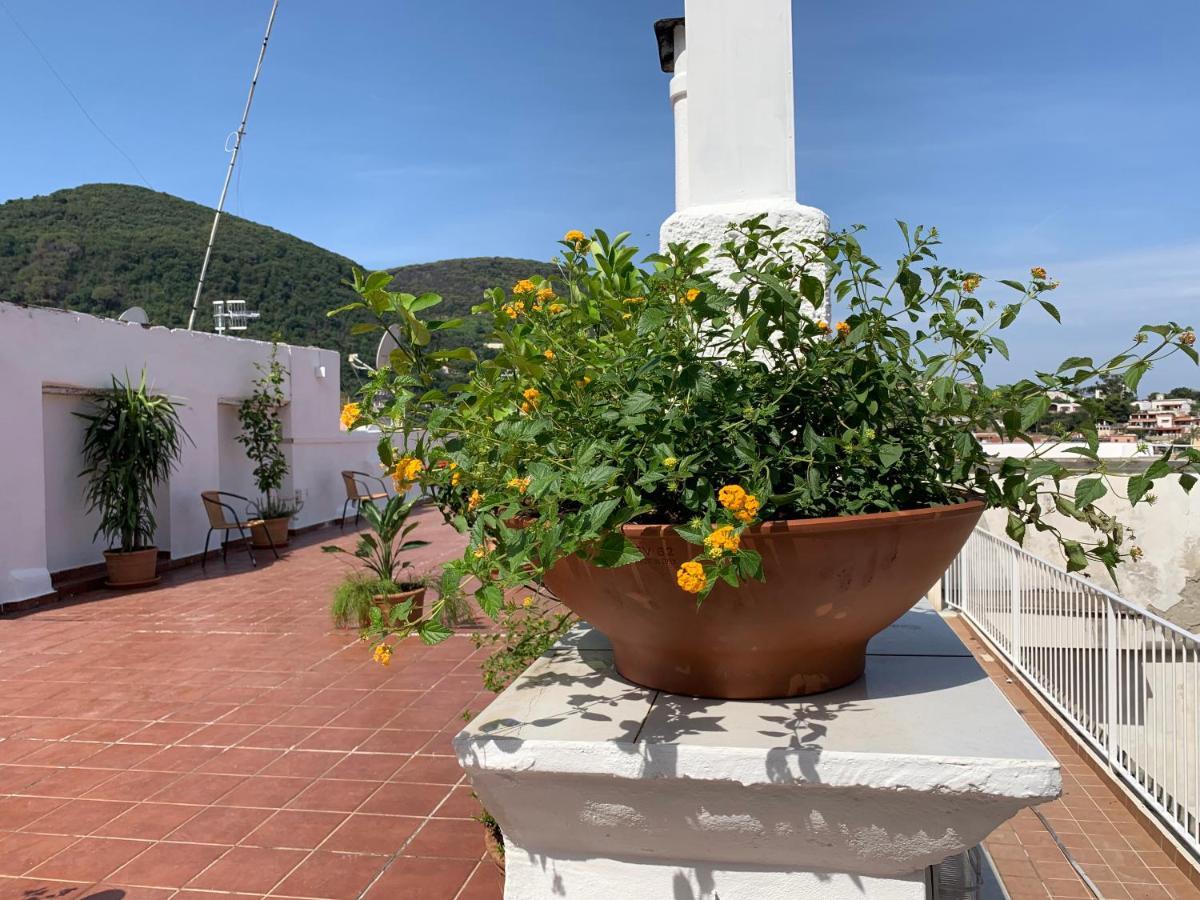 Molo35 Bed & Breakfast Ischia Luaran gambar